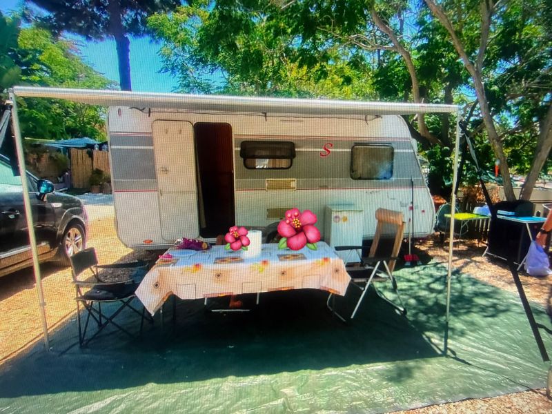 En venta Sterckeman Starlett 470 pe 2015 Cádiz foto 1