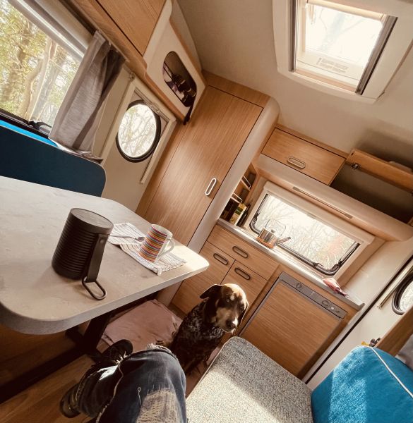 En venta T@b 320 OFF ROAD Gris 2021 Alicante foto 4