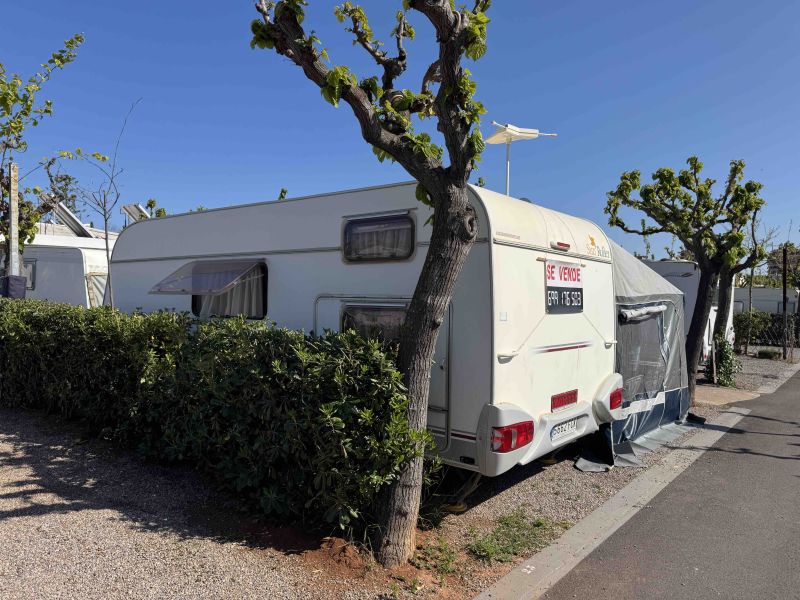 En venta Sunroller Adagio 495 Luxe Blanco 2009 Castellón foto 3