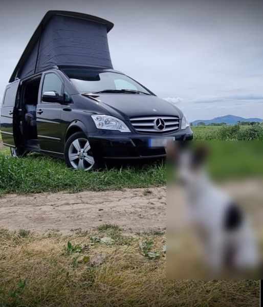 En venta Mercedes-Benz Viano Marco Polo Westfalia Negro 2012 Madrid foto 13